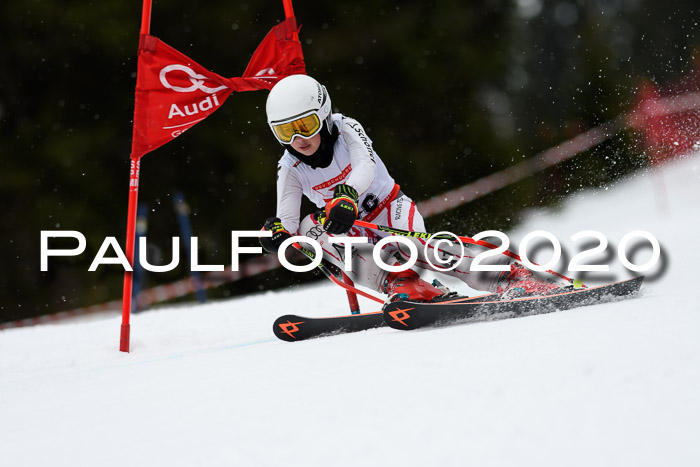 DSV - Deutscher Schülercup U12 Finale RaceCross