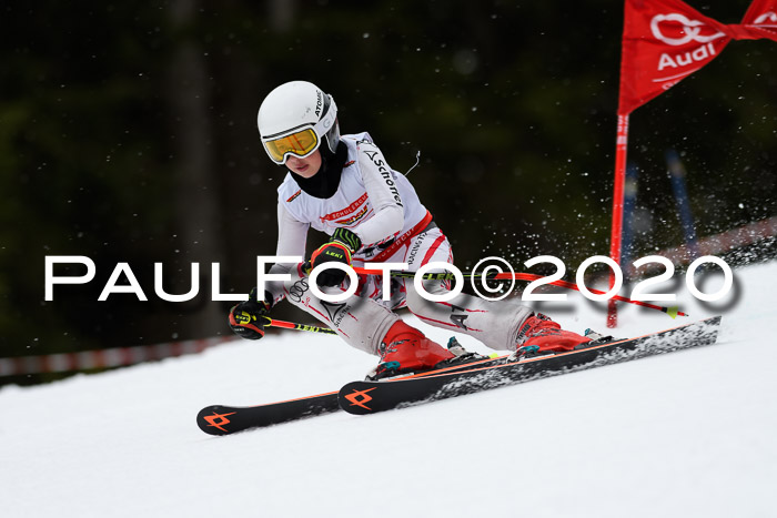 DSV - Deutscher Schülercup U12 Finale RaceCross