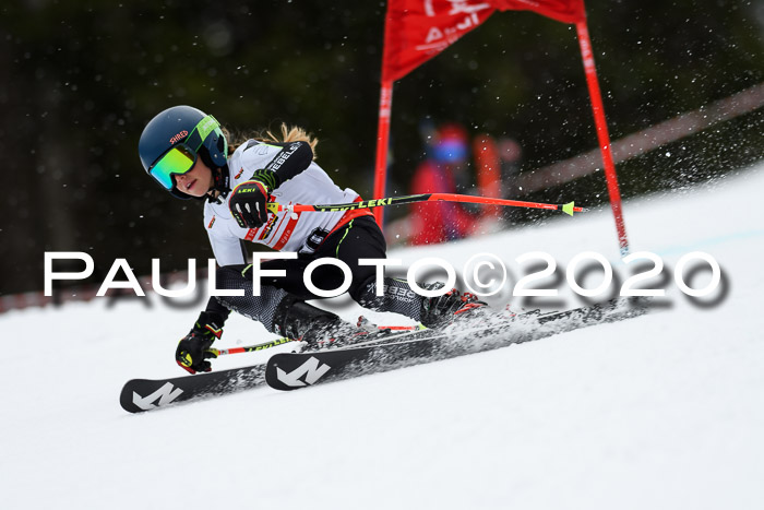 DSV - Deutscher Schülercup U12 Finale RaceCross