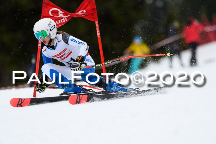 DSV - Deutscher Schülercup U12 Finale RaceCross