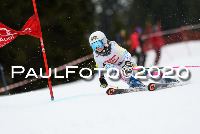 DSV - Deutscher Schülercup U12 Finale RaceCross