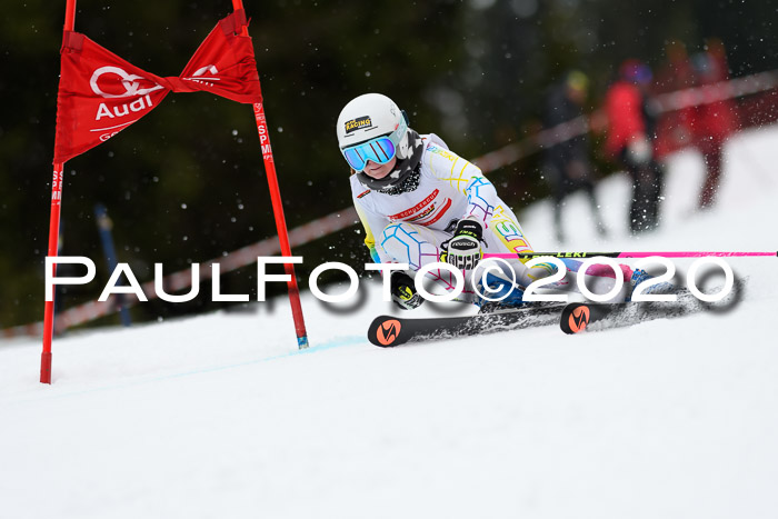 DSV - Deutscher Schülercup U12 Finale RaceCross