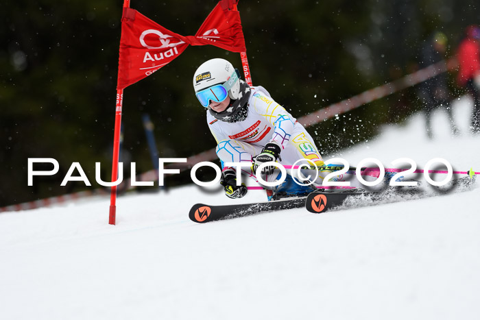 DSV - Deutscher Schülercup U12 Finale RaceCross