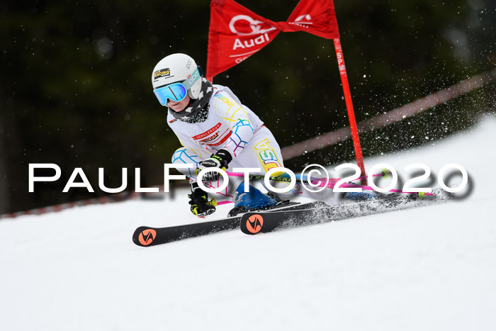 DSV - Deutscher Schülercup U12 Finale RaceCross