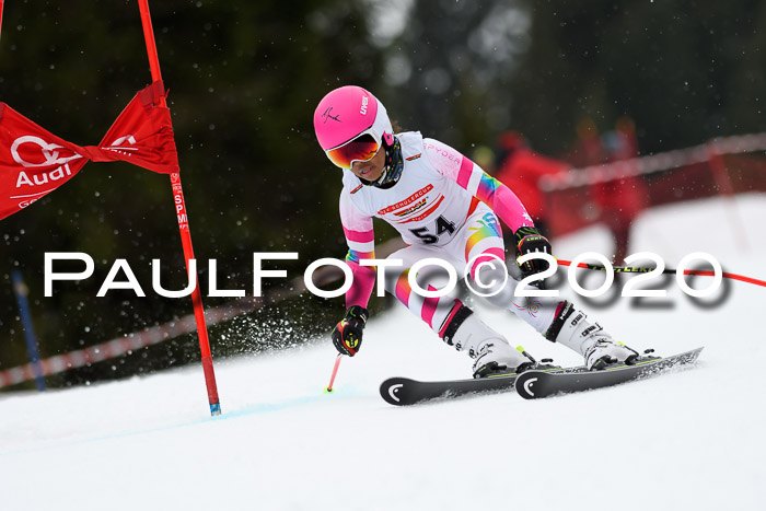 DSV - Deutscher Schülercup U12 Finale RaceCross