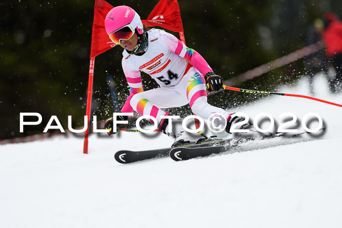 DSV - Deutscher Schülercup U12 Finale RaceCross