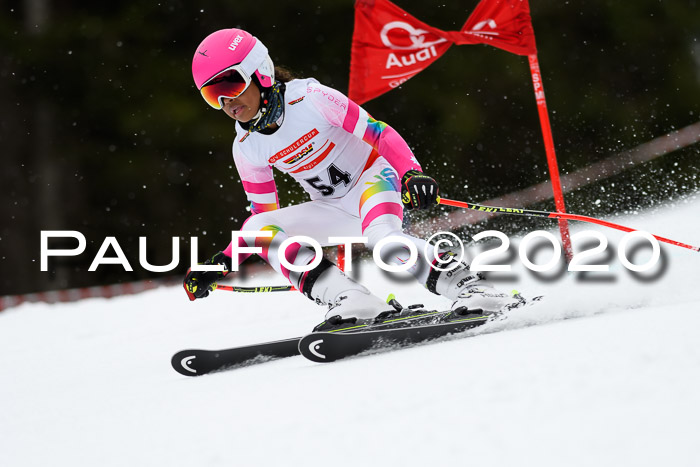 DSV - Deutscher Schülercup U12 Finale RaceCross