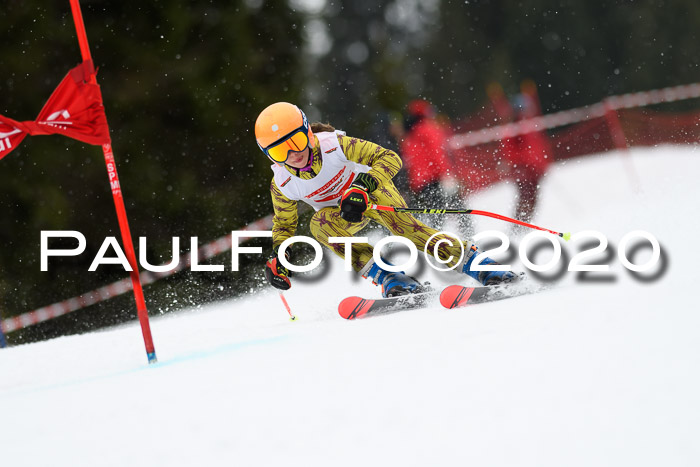 DSV - Deutscher Schülercup U12 Finale RaceCross