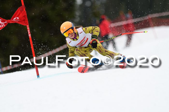 DSV - Deutscher Schülercup U12 Finale RaceCross
