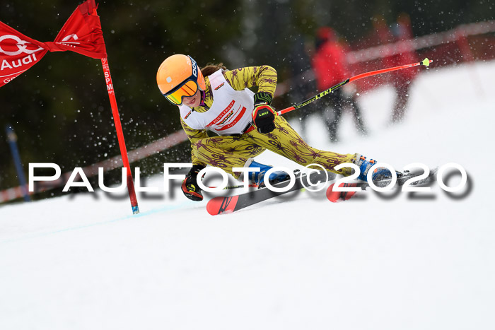 DSV - Deutscher Schülercup U12 Finale RaceCross
