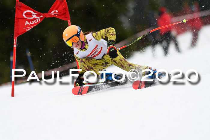 DSV - Deutscher Schülercup U12 Finale RaceCross