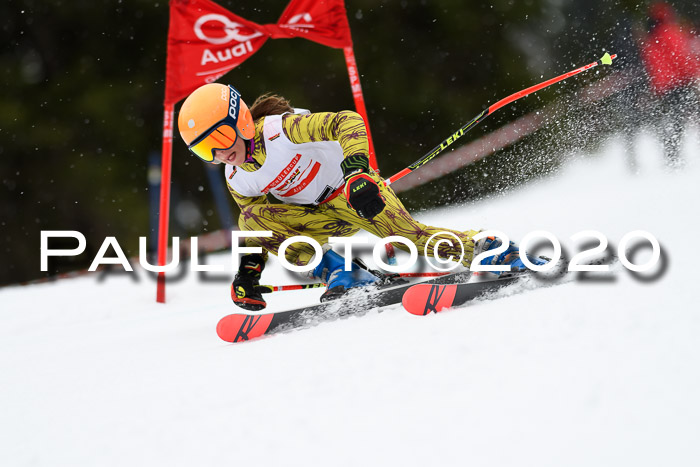 DSV - Deutscher Schülercup U12 Finale RaceCross