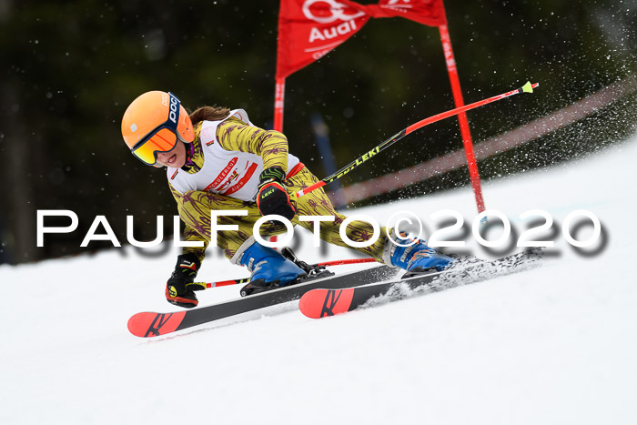 DSV - Deutscher Schülercup U12 Finale RaceCross