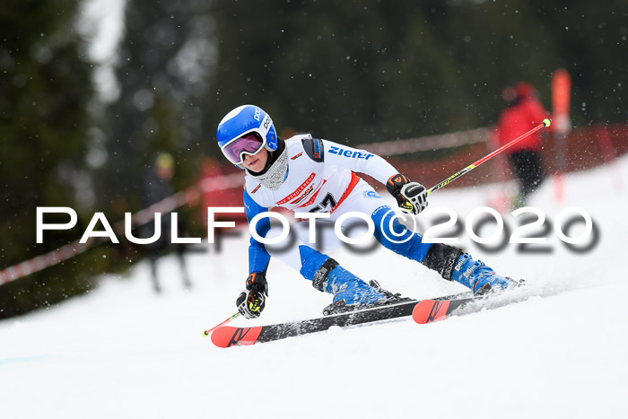 DSV - Deutscher Schülercup U12 Finale RaceCross