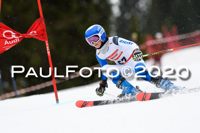 DSV - Deutscher Schülercup U12 Finale RaceCross