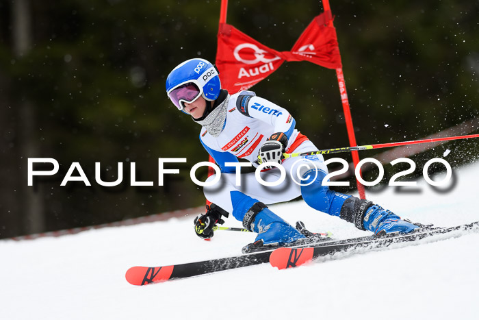 DSV - Deutscher Schülercup U12 Finale RaceCross