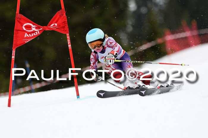 DSV - Deutscher Schülercup U12 Finale RaceCross