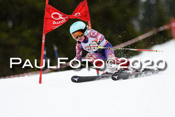 DSV - Deutscher Schülercup U12 Finale RaceCross
