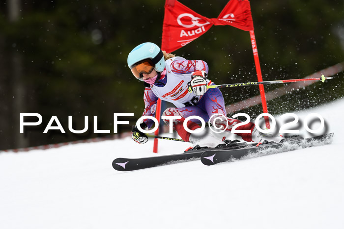 DSV - Deutscher Schülercup U12 Finale RaceCross