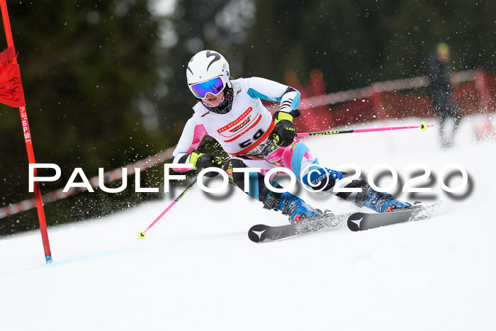 DSV - Deutscher Schülercup U12 Finale RaceCross