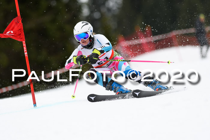 DSV - Deutscher Schülercup U12 Finale RaceCross