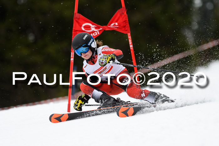 DSV - Deutscher Schülercup U12 Finale RaceCross