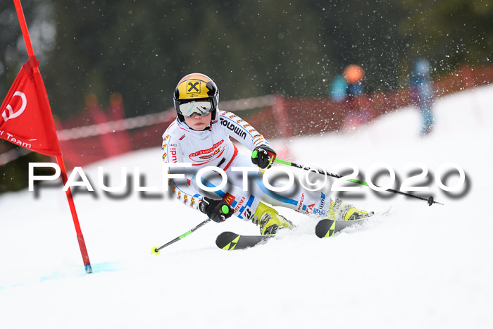 DSV - Deutscher Schülercup U12 Finale RaceCross