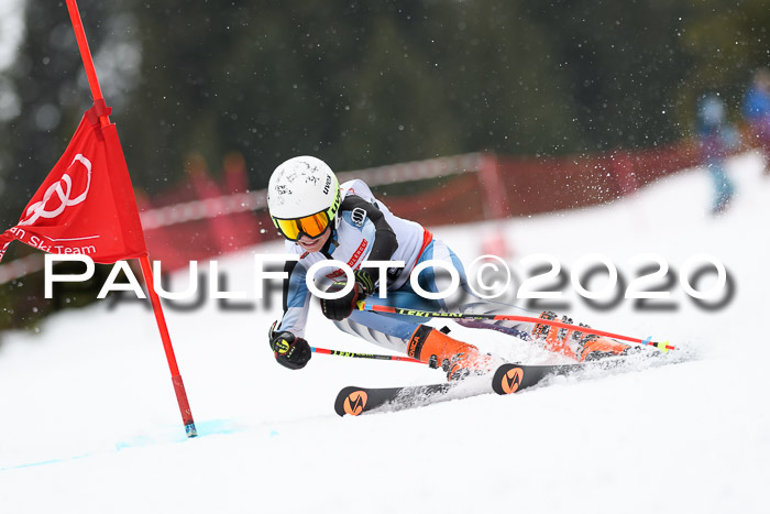 DSV - Deutscher Schülercup U12 Finale RaceCross