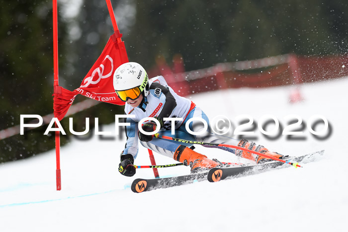 DSV - Deutscher Schülercup U12 Finale RaceCross