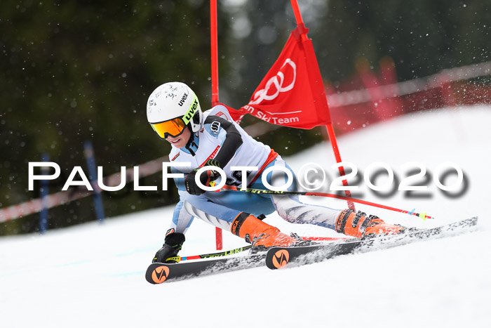 DSV - Deutscher Schülercup U12 Finale RaceCross