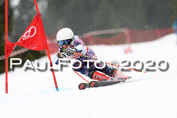 DSV - Deutscher Schülercup U12 Finale RaceCross