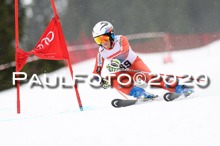 DSV - Deutscher Schülercup U12 Finale RaceCross