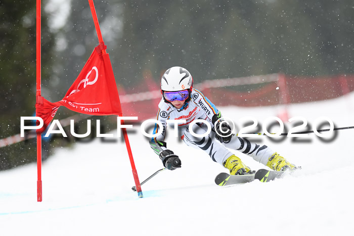 DSV - Deutscher Schülercup U12 Finale RaceCross