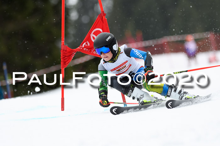 DSV - Deutscher Schülercup U12 Finale RaceCross