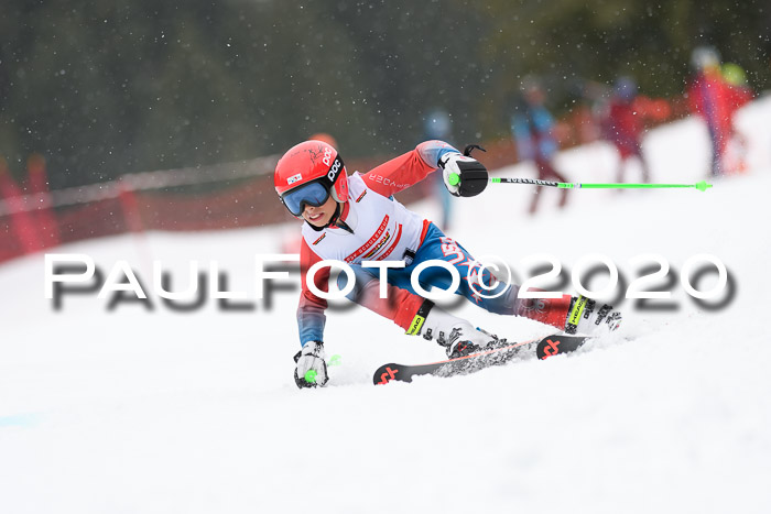 DSV - Deutscher Schülercup U12 Finale RaceCross
