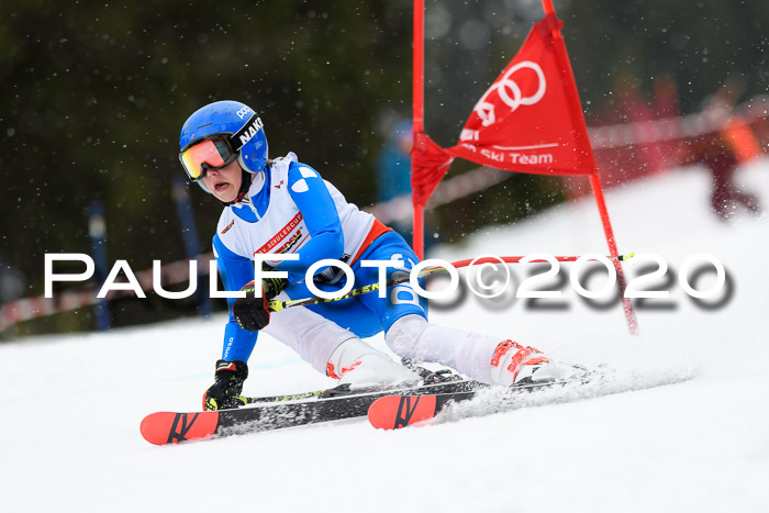 DSV - Deutscher Schülercup U12 Finale RaceCross