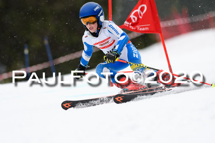 DSV - Deutscher Schülercup U12 Finale RaceCross
