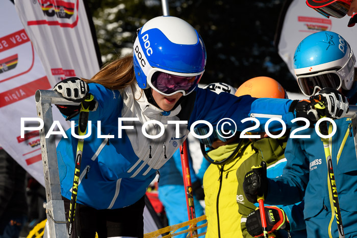 DSV - Deutscher Schülercup U12 Finale Team PSL