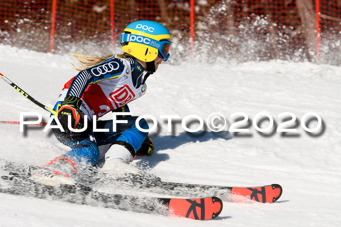 DSV - Deutscher Schülercup U12 Finale Team PSL
