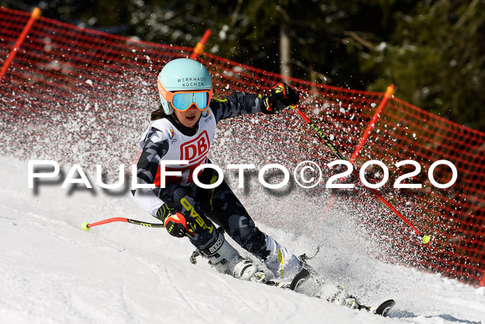 DSV - Deutscher Schülercup U12 Finale Team PSL