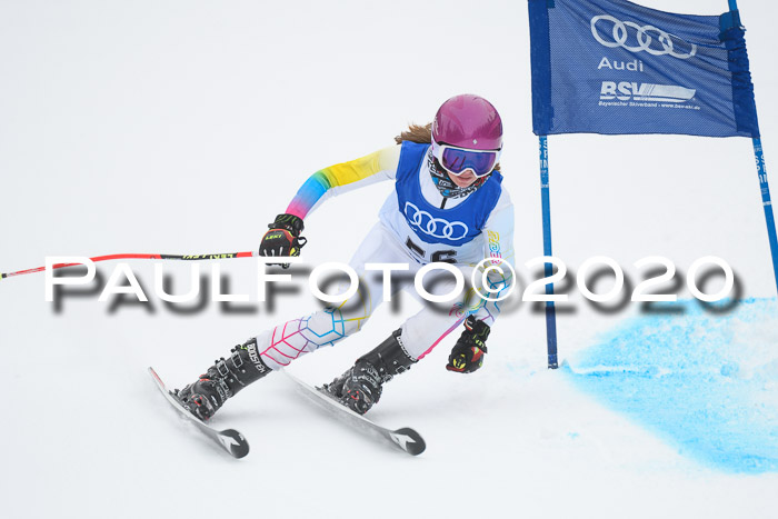 BSV Skiliga Bayern Rennen 1, 18.01.2020