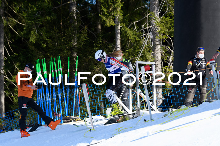 Deutsche Meisterschaft Team PSL Gudiberg 23.03.2019