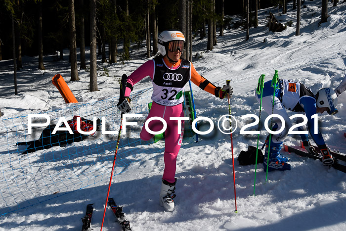 Deutsche Meisterschaft Team PSL Gudiberg 23.03.2019