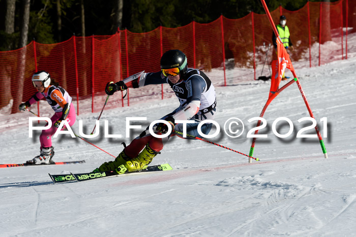 Deutsche Meisterschaft Team PSL Gudiberg 23.03.2019