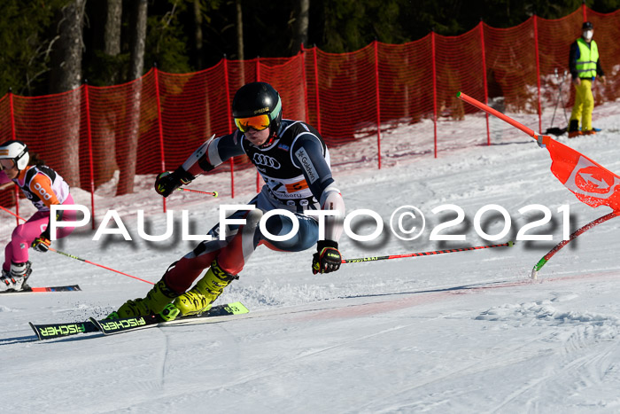 Deutsche Meisterschaft Team PSL Gudiberg 23.03.2019