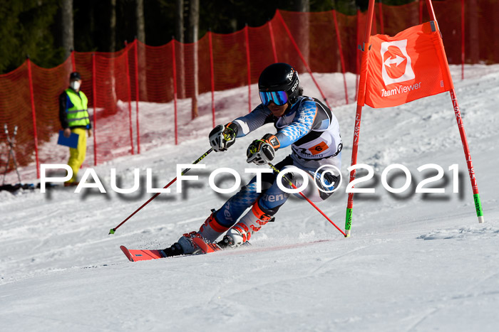 Deutsche Meisterschaft Team PSL Gudiberg 23.03.2019