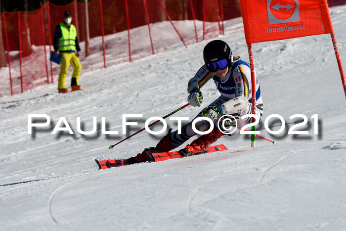 Deutsche Meisterschaft Team PSL Gudiberg 23.03.2019