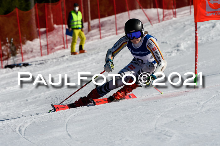 Deutsche Meisterschaft Team PSL Gudiberg 23.03.2019