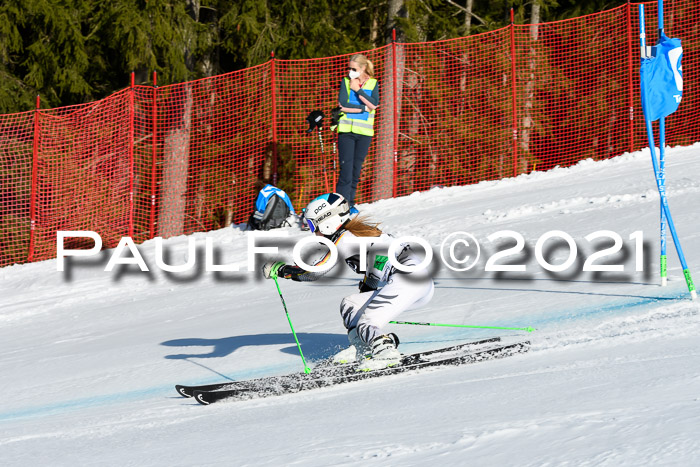 Deutsche Meisterschaft Team PSL Gudiberg 23.03.2019
