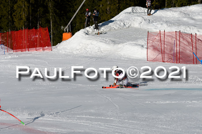 Deutsche Meisterschaft Team PSL Gudiberg 23.03.2019